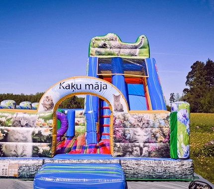 Kaķu māja